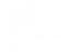 Shiny